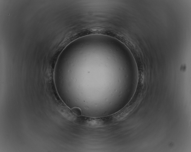 X0000091670561200708231332