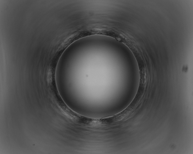 X0000091670562200708231332