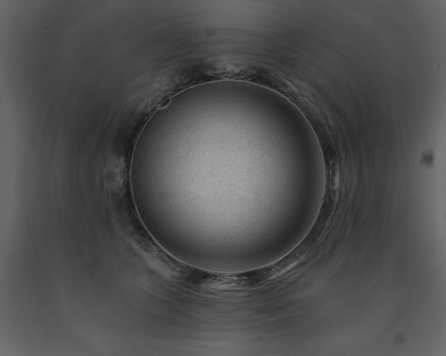 X0000091670563200708231332