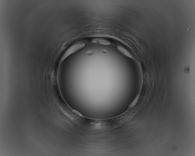 X0000091670564200708231332