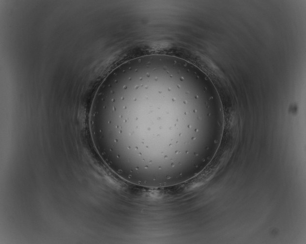X0000091670565200708231332
