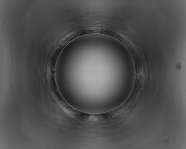 X0000091670566200708231332