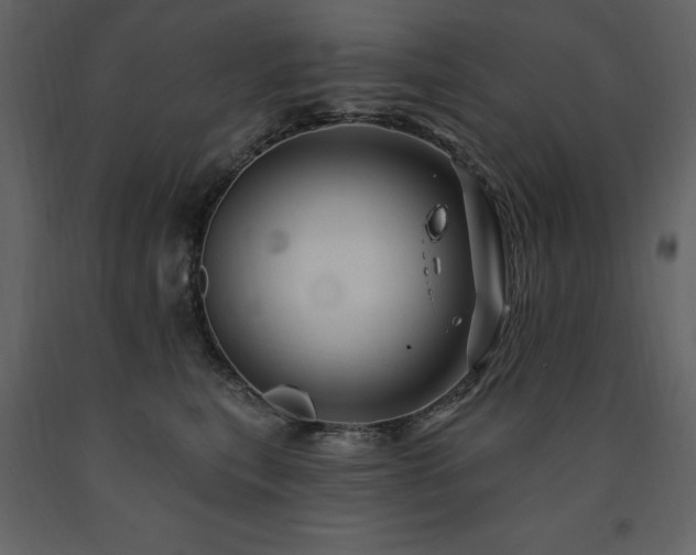 X0000091670567200708231332