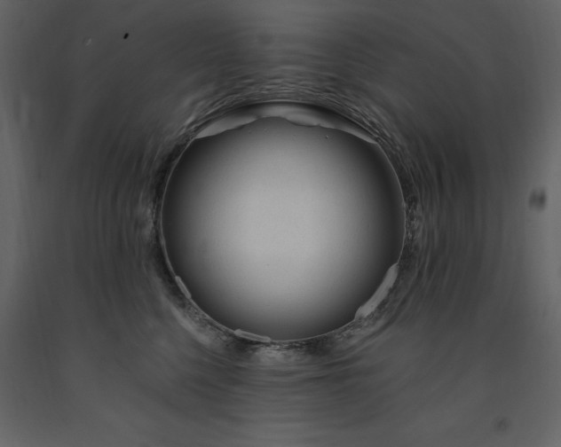 X0000091670568200708231332