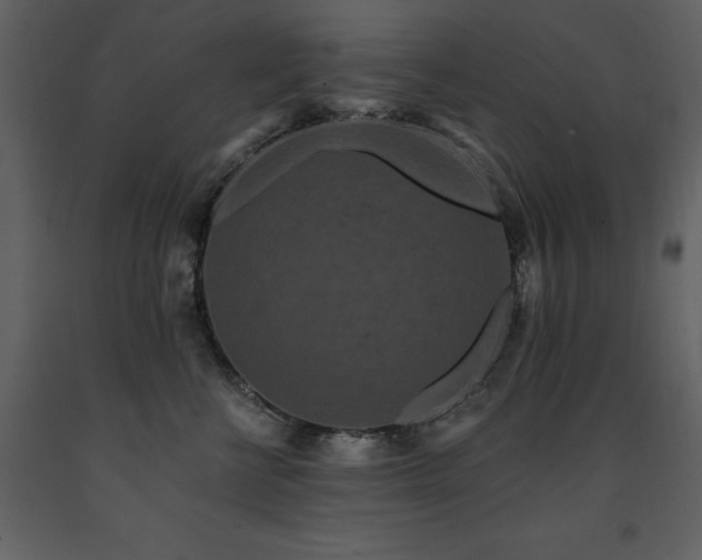 X0000091670570200708231332