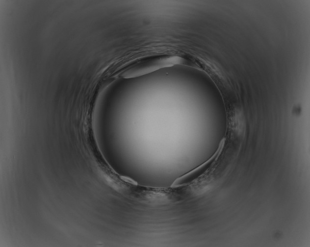 X0000091670572200708231332