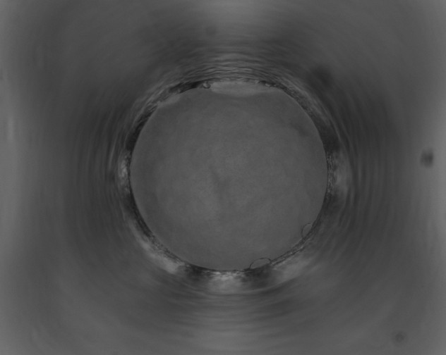 X0000091670573200708231332