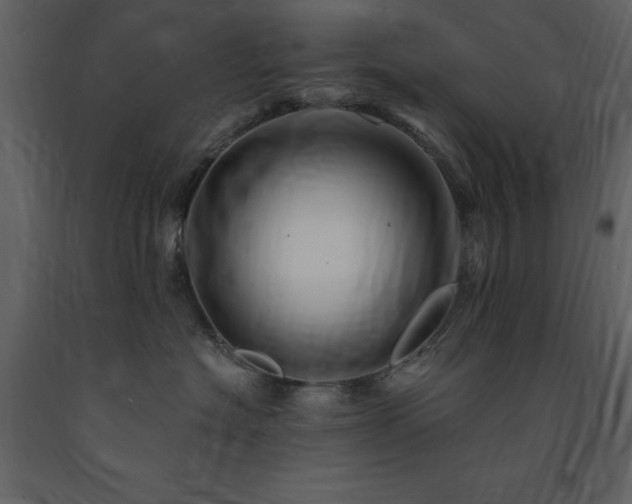 X0000091670574200708231332