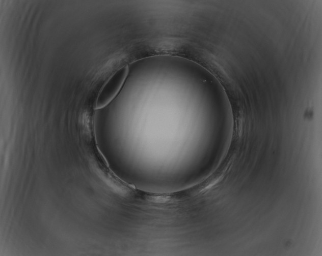 X0000091670575200708231332