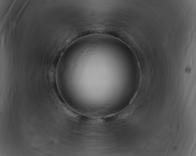 X0000091670576200708231332