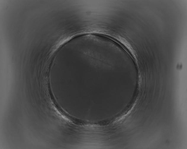 X0000091670577200708231331
