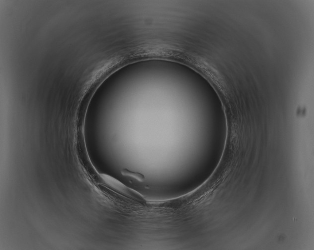 X0000091670578200708231331