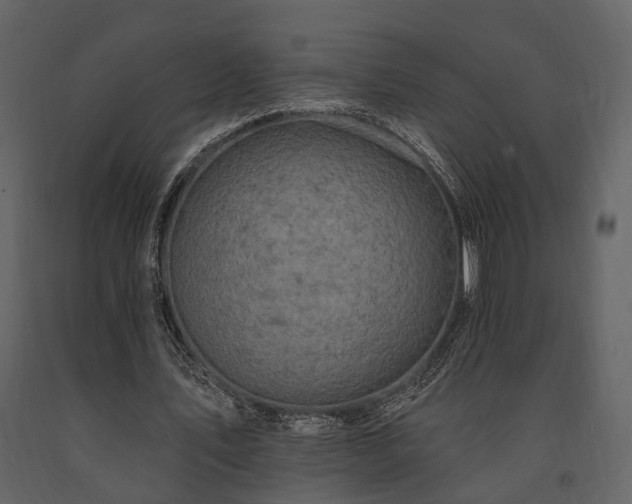 X0000091670579200708231331