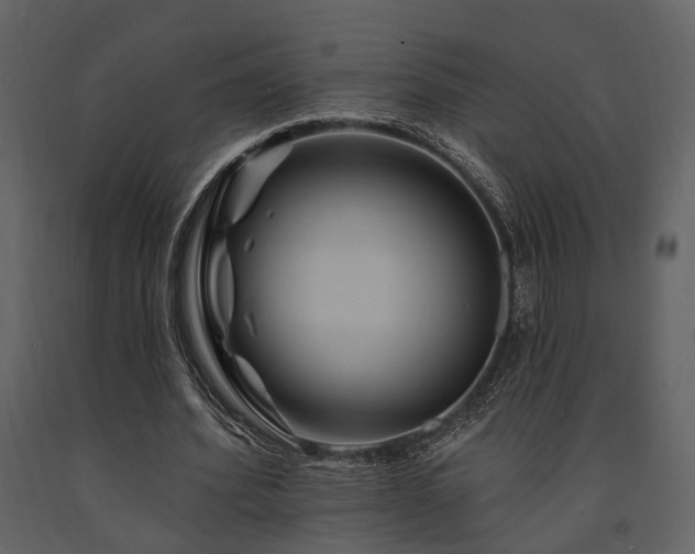 X0000091670580200708231331