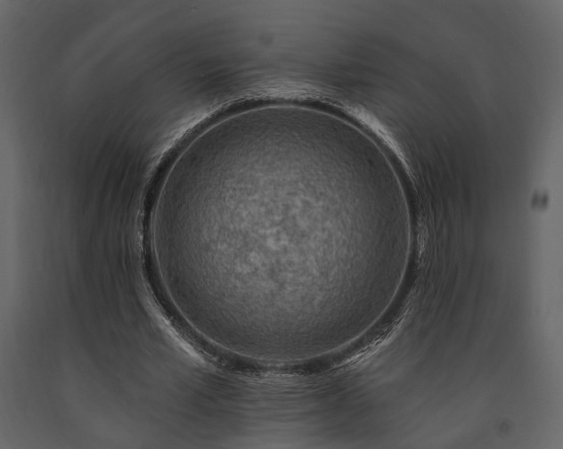 X0000091670581200708231331