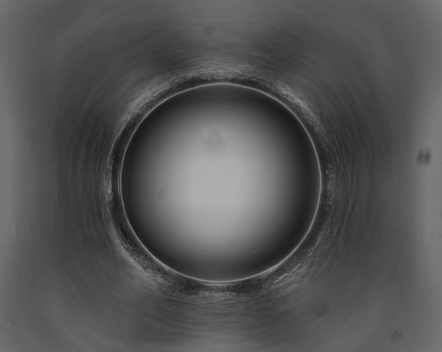 X0000091670582200708231331