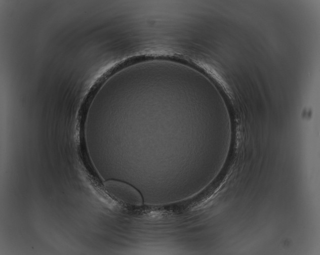 X0000091670584200708231331