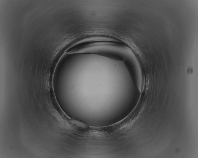 X0000091670585200708231331