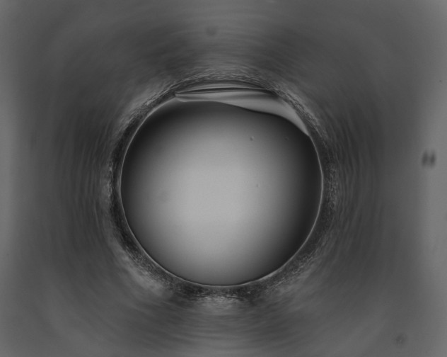 X0000091670586200708231331