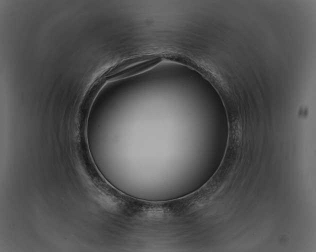 X0000091670587200708231331