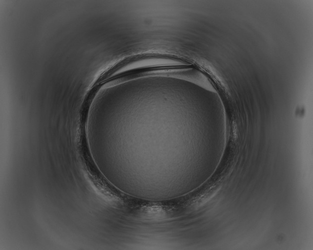 X0000091670588200708231331