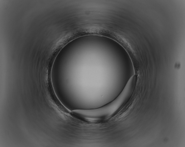 X0000091670589200708231331