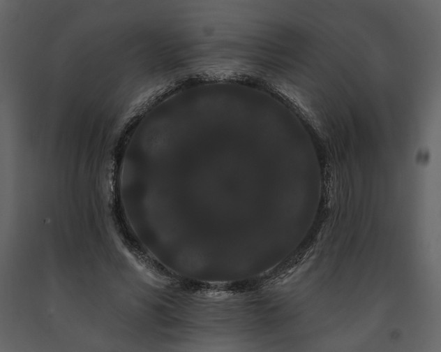 X0000091670590200708231331