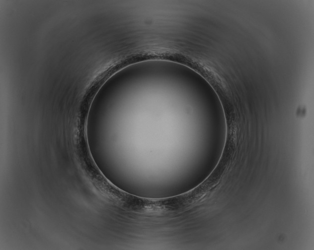 X0000091670591200708231331