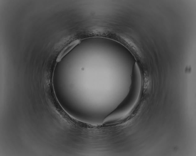 X0000091670593200708231331