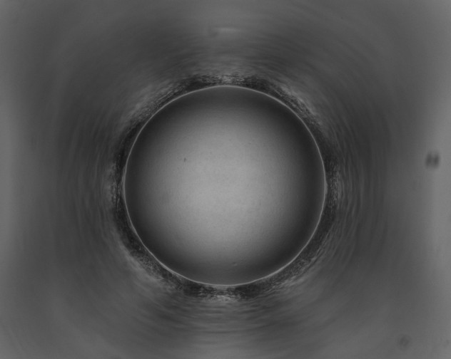 X0000091670594200708231331