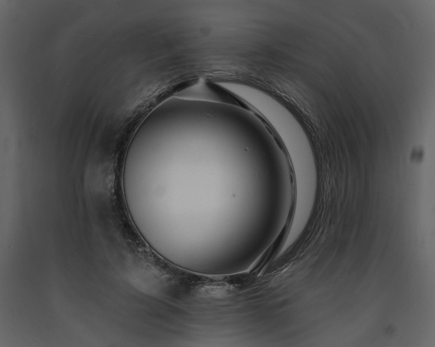 X0000091670595200708231331