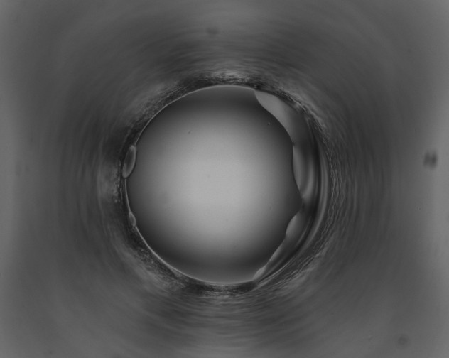 X0000091670597200708231331
