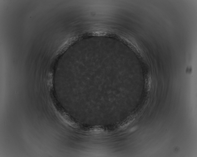 X0000091670598200708231331