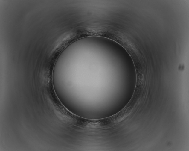 X0000091670599200708231331