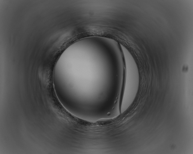 X0000091670600200708231331