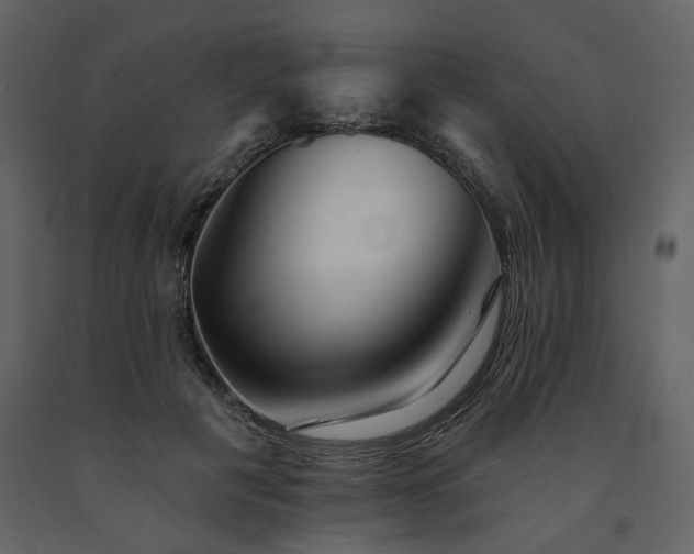 X0000091670601200708231331