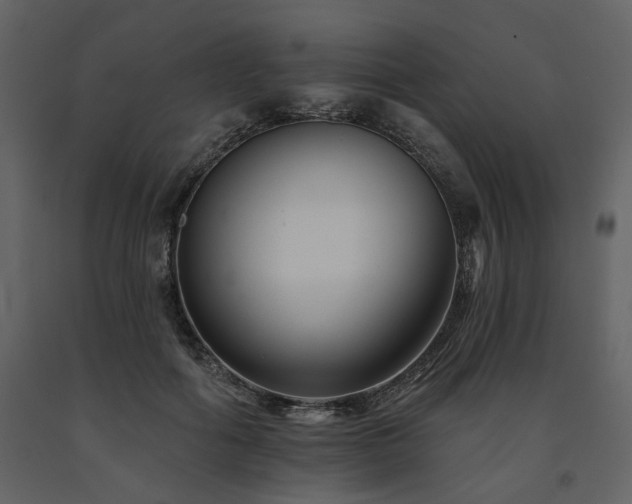 X0000091670602200708231331