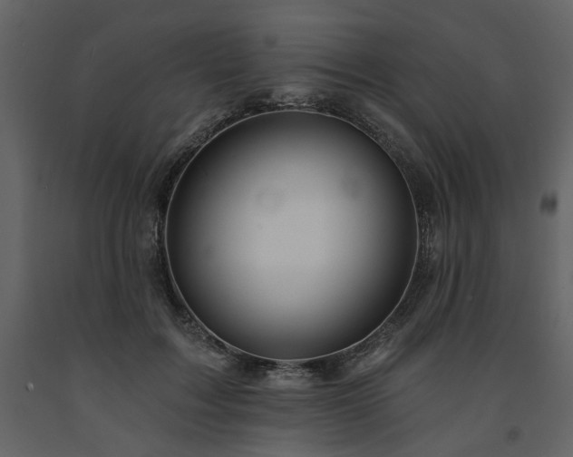 X0000091670603200708231331