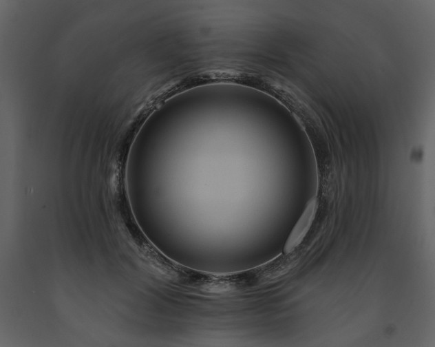 X0000091670604200708231331