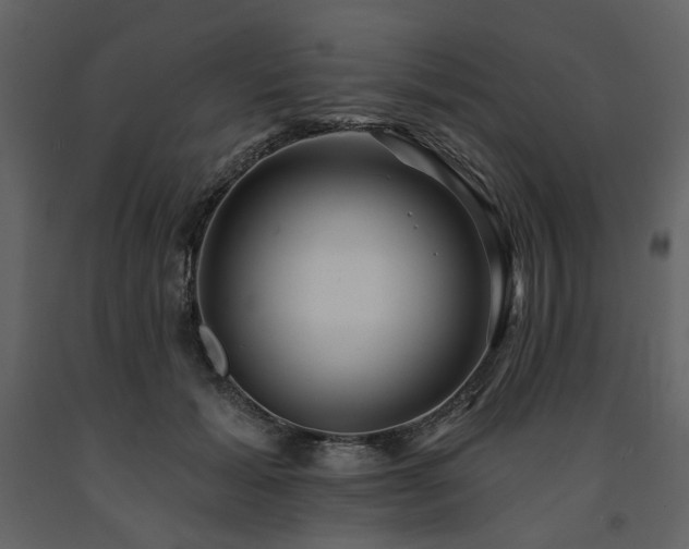 X0000091670605200708231331