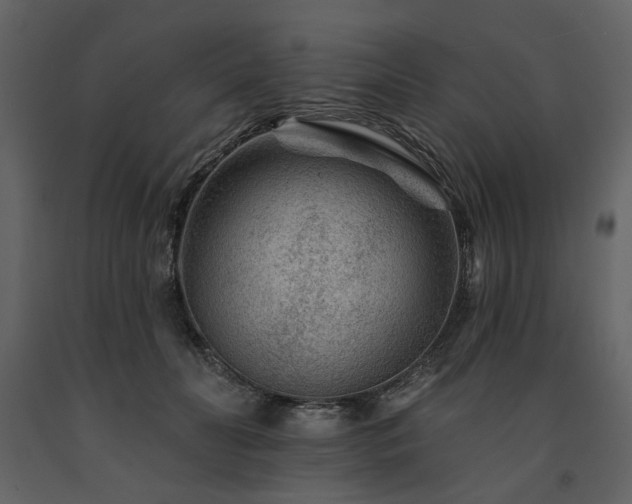 X0000091670606200708231331