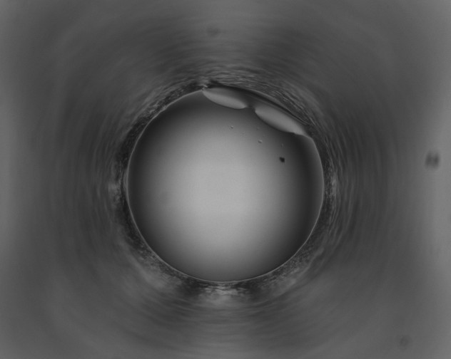 X0000091670607200708231331