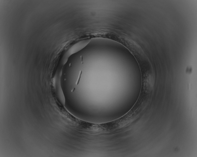 X0000091670608200708231331