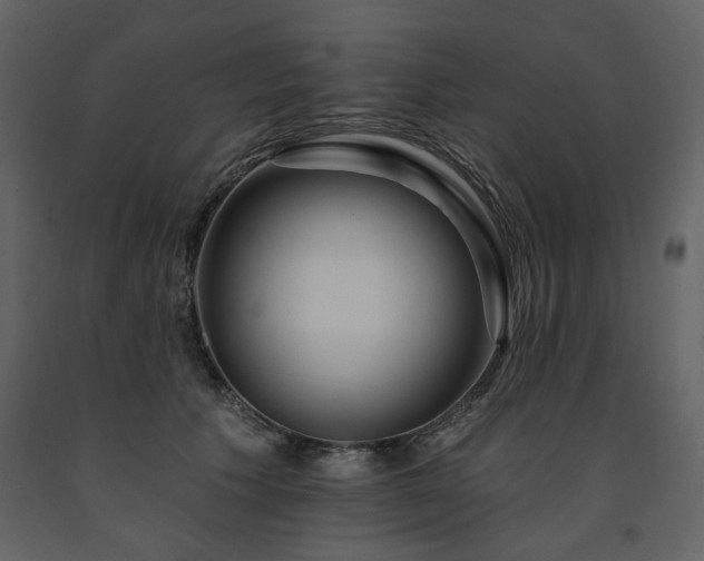 X0000091670609200708231331