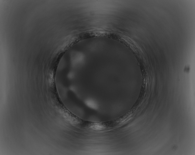 X0000091670610200708231331