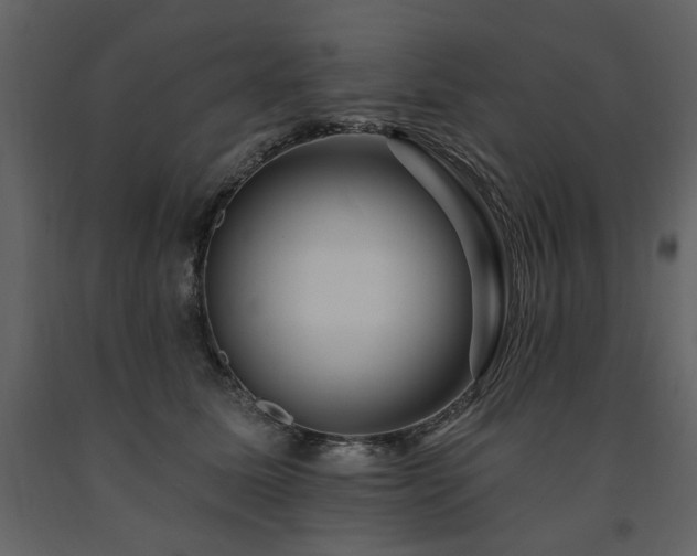 X0000091670611200708231331