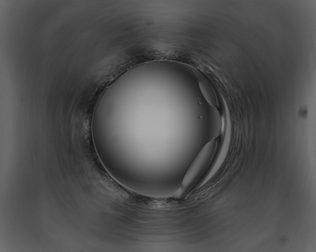 X0000091670613200708231331