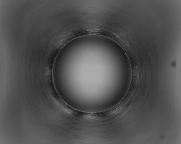 X0000091670614200708231331