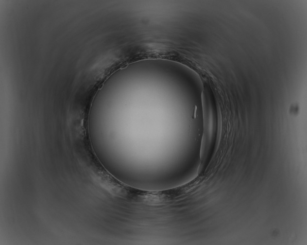 X0000091670615200708231331
