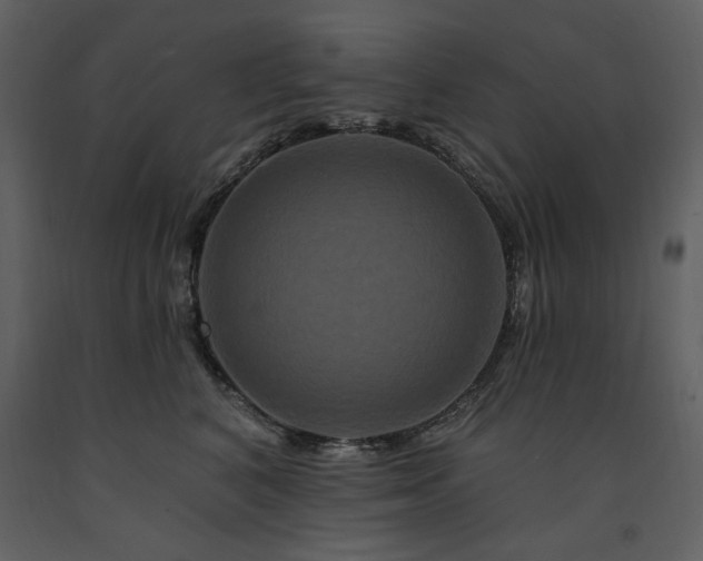X0000091670616200708231331